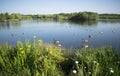 Beautiful Manvers Lake Royalty Free Stock Photo