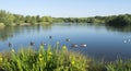 Beautiful Manvers Lake Royalty Free Stock Photo