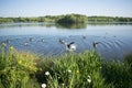 Beautiful Manvers Lake Royalty Free Stock Photo