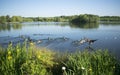 Beautiful Manvers Lake Royalty Free Stock Photo