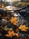 Beautiful maple fallen yellow leaves in raindrops on a ground in autumn, vertical image, selective focus