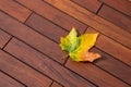 Beautiful maple leaf on ipe wood boards, hardwood deck texture background Royalty Free Stock Photo