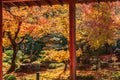 Beautiful Maple leaf in Japanese Garden at Enkoji temple, Kyoto, Japan. Landmark and famous in autumn season