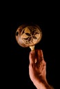 Beautiful maracas on black background