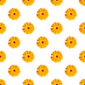 Beautiful marigold flowers seamless floral pattern, white background