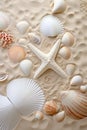 Beautiful Marine Life: White Shell Starfish, Coral, and More!