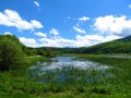 Beautiful marsh at lake Cerknica in Notranjska, Slovenia Royalty Free Stock Photo