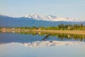 Beautiful marsh lake in the yukon territories