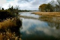 Dramatic fall day at the marsh Royalty Free Stock Photo