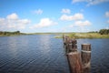 Louisiana Bayou Wetlands Royalty Free Stock Photo