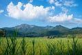 Beautiful marshland landscape near Schlehdorf, view to Herzogstand and Heimgarten mountain range Royalty Free Stock Photo