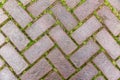 Beautiful masonry cobblestone pavement with grass sprouted in the seams. Close-up. Background. Space for text Royalty Free Stock Photo