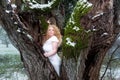 Beautiful mature redheaded woman in white wedding dress in winter nature in an old willow tree Royalty Free Stock Photo