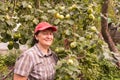 Woman with an apple tree Royalty Free Stock Photo