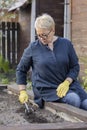 Beautiful mature woman loosens fertile soil with culti-hoe before planting seeds