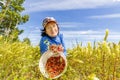 Beautiful mature women pick strawberries in a meadow