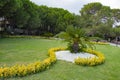 beautiful meadow area with Japanese spindle bushes Euonymus, palm trees and decorated with white stones in Turkey Royalty Free Stock Photo