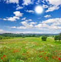 Beautiful meadow and blue sky