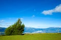 Beautiful meadow and blue sky