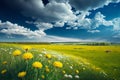 Beautiful meadow field with fresh grass and yellow dandelion flowers in nature against a blurry blue sky with clouds Royalty Free Stock Photo