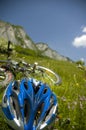 Beautiful meadow with flowers and bicycle Royalty Free Stock Photo