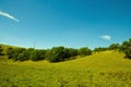 Beautiful meadow in a hilly area.