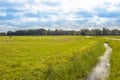 Beautiful meadow landscape in Bergen, Netherlands