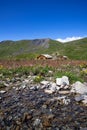 Beautiful meadow with a little stream of water at summer Royalty Free Stock Photo