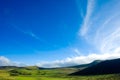 Beautiful meadow in the morning