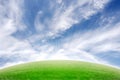 Beautiful meadow with sky and sun flare