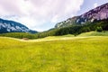 Beautiful meadow with small sheepfold in the Carpathians Mountains, Romania