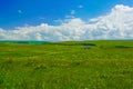 Beautiful Meadow Summer Landscape at Elbrus Region