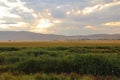 Beautiful Meadows in Erzurum, TÃ¼rkiye. Meadows near the city.