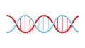 Beautiful medical red and blue scientific twisted helix structure abstract model of dna genes on a white background. Vector