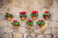 Beautiful mediterranean decoration on a wall in the historic village Valldemosa in Majorca Royalty Free Stock Photo