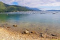 Beautiful Mediterranean landscape on autumn day. Mussel farm. Montenegro, Adriatic Sea, Kotor Bay Royalty Free Stock Photo