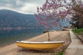 Beautiful Mediterranean landscape on cloudy spring day. Paulownia tomentosa tree blooms on coast of Kotor Bay. Montenegro