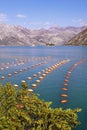 Beautiful Mediterranean landscape. Mussel farm, longline culture rope culture . Montenegro, Bay of Kotor Royalty Free Stock Photo