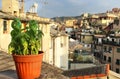 Beautiful Mediterranean terrace with flowers