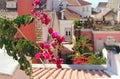 Beautiful Mediterranean terrace with flowers