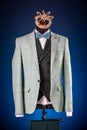Beautiful men`s grey jacket suit with shirt and bow tie on a dummy or mannequin on blue background Royalty Free Stock Photo