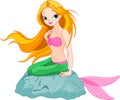 Beautiful Mermaid Royalty Free Stock Photo