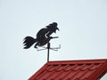 Black metallic witch windfall on home roof, Lithuania