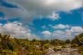 Beautiful Mexican landscape with trees and bushes on a blue sky background with white clouds. Tulum, Riviera Maya, Yucatan