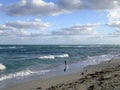 Miami seascape with sea birds flying over Miami beach, Miami-Dade, Florida, the USA, Atlantic ocean Royalty Free Stock Photo