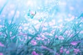 Beautiful micro Veronica persica wildflowers, butterfly in the dreamy meadow. Delicate pink and blue colors pastel toned. Shallow Royalty Free Stock Photo