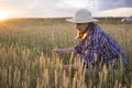 A beautiful middle-aged farmer woman in a straw hat and a plaid shirt stands in a field of golden ripening wheat during the daytim