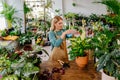 Beautiful middle-aged woman dusting, tending to the leaves of potted plants in the verdant interior of a home or