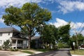Midwest Neighborhood Street with Old Homes and Green Trees during the Summer in Lemont Illinois