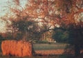 A beautiful mild glow of evening sunlight spread on the countryside of India